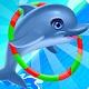 Dolphin Games
